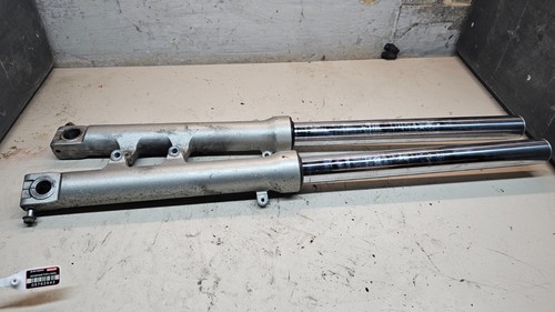 Honda hornet 600 pc34 - honda,