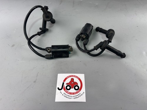 Honda 600 hornet pc34 - honda,